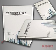 �l(f��)չ��Ƥ��(sh��) �i��(xi��n)�bӆ��(hu��)��