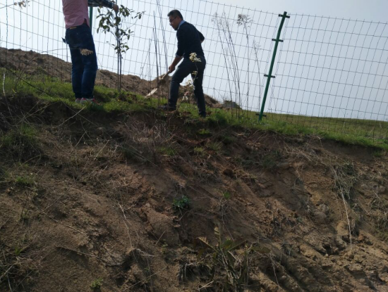 ӡˢ�S(ch��ng)ֲ��(sh��)��